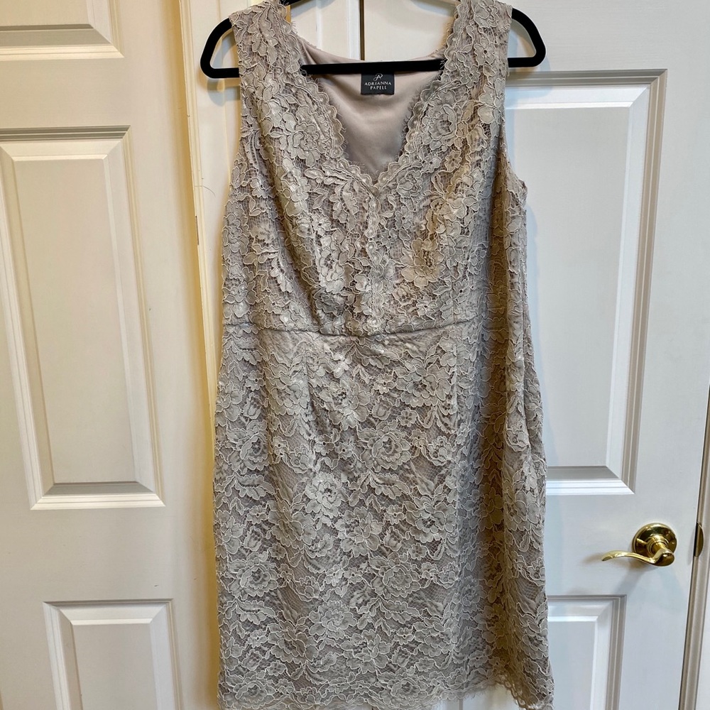 Adrianna Papell Nude Lace Dress - Picture 2 of 5